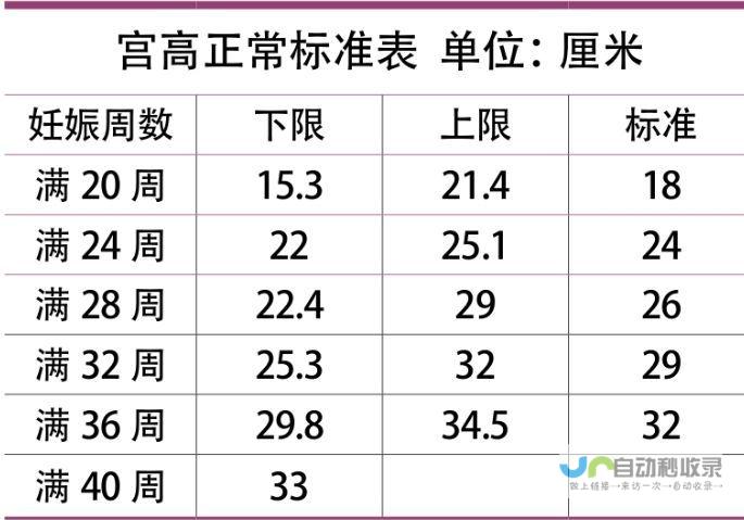 宫高腹围怎么量