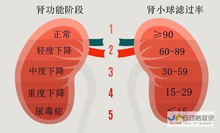 全面了解肾功能检查项目