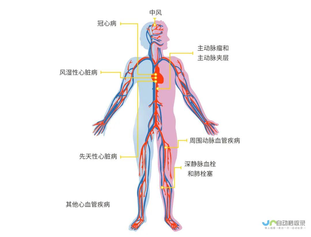 常见症状与体征