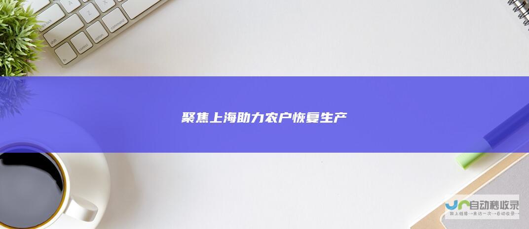 聚焦上海助力农户恢复生产