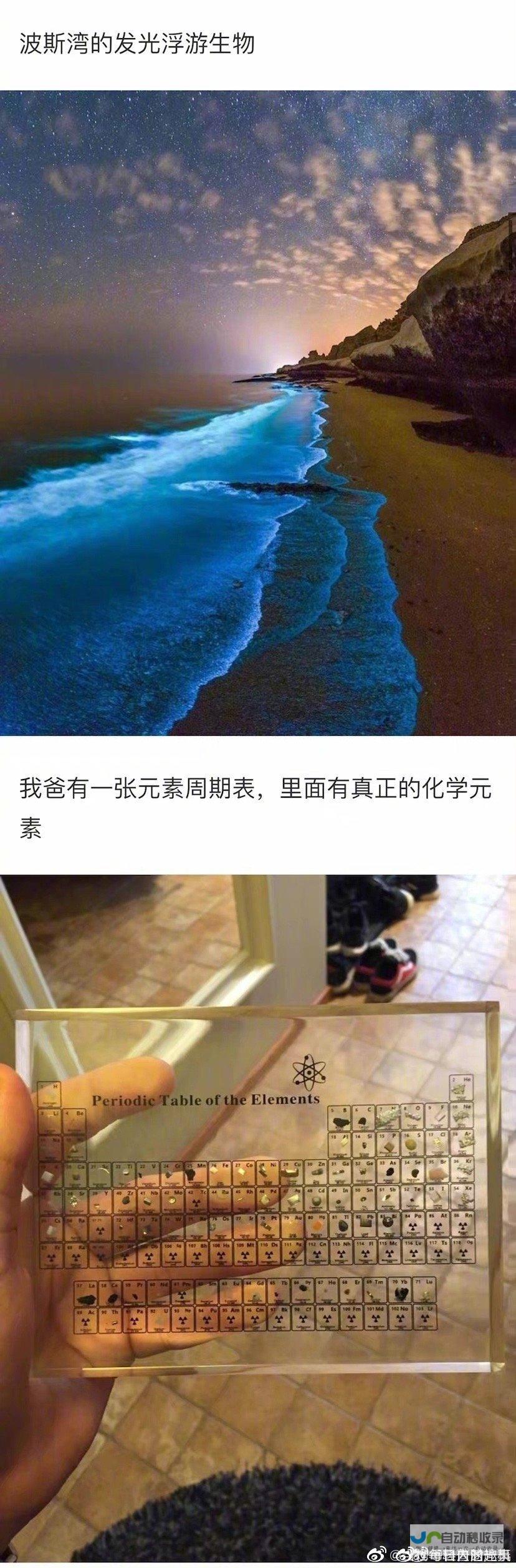 揭秘罕见的强台风登陆上海背后的影响