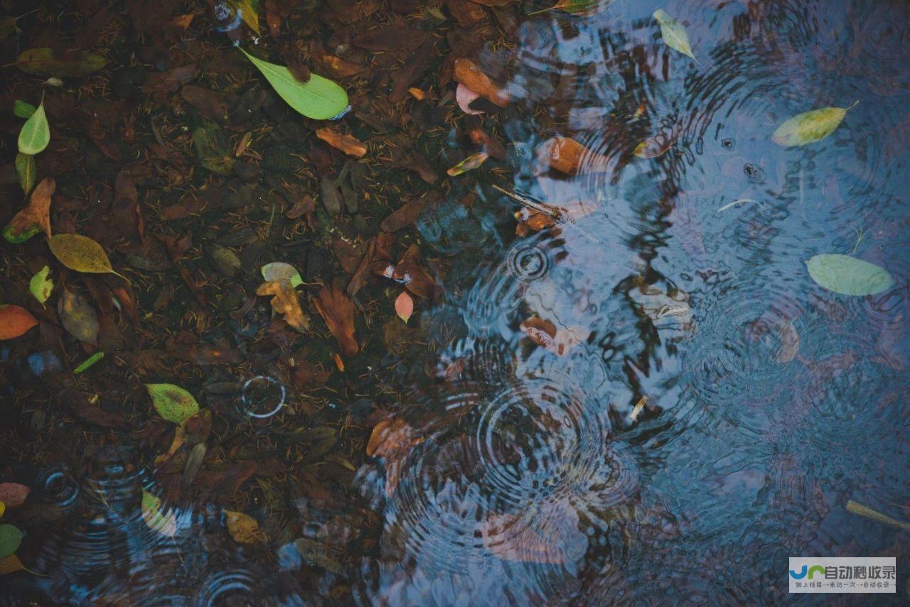 沉醉雨韵