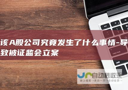 该A股公司究竟发生了什么事情-导致被证监会立案