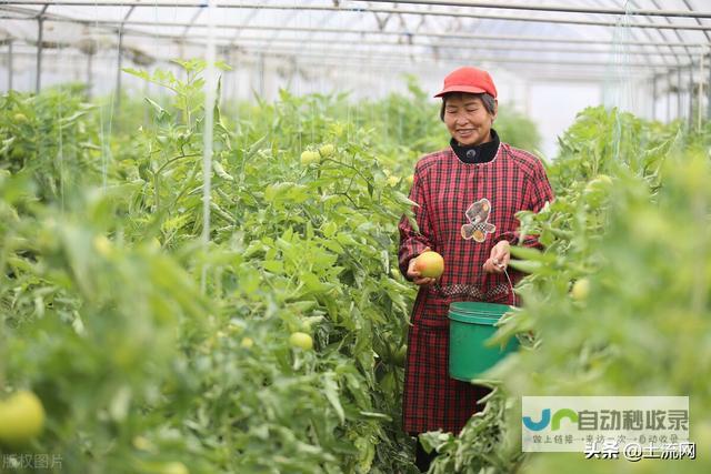 林地种植概况与特色