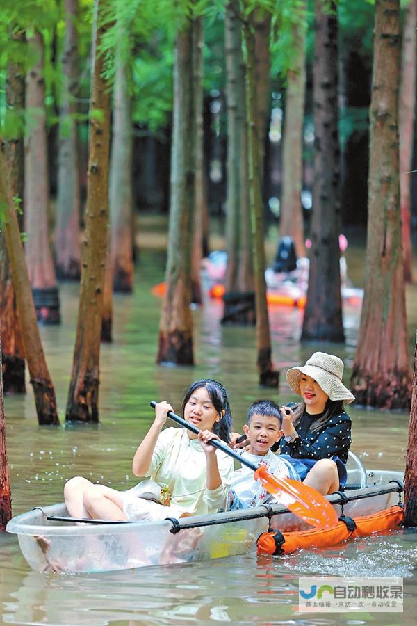 探秘南滇池湿地-感受芦花童话世界的魅力