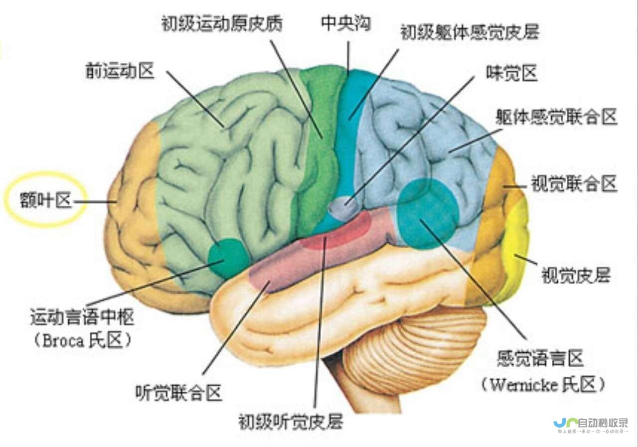 Premium订阅价格调整-YouTube-全球范围内