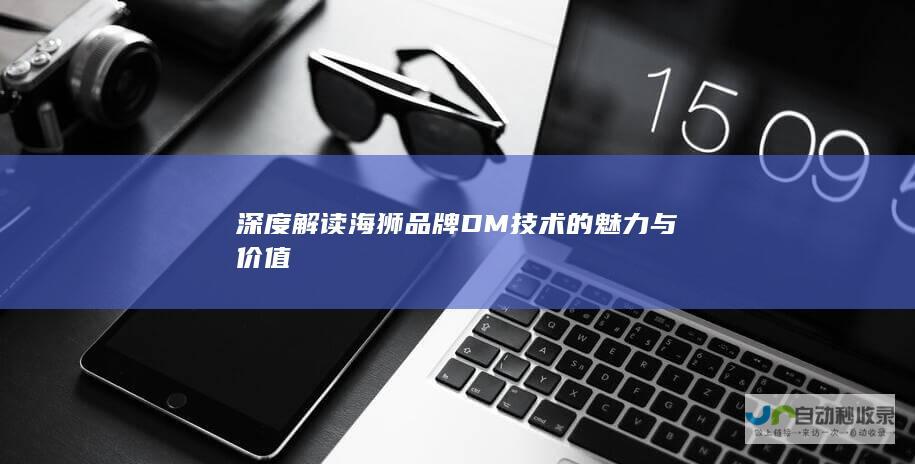 深度解读海狮品牌DM技术的魅力与价值