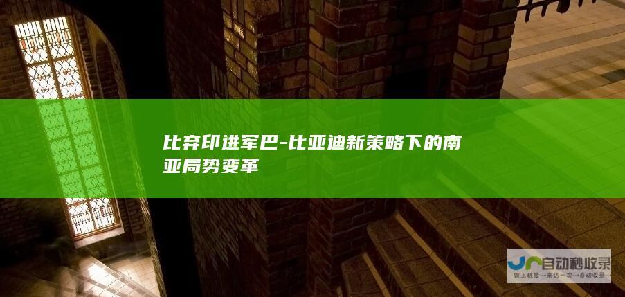 比弃印进军巴-比亚迪新策略下的南亚局势变革