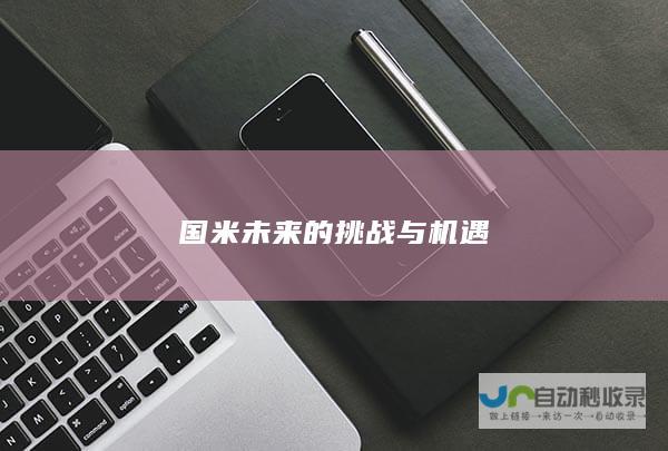 国米未来的挑战与机遇