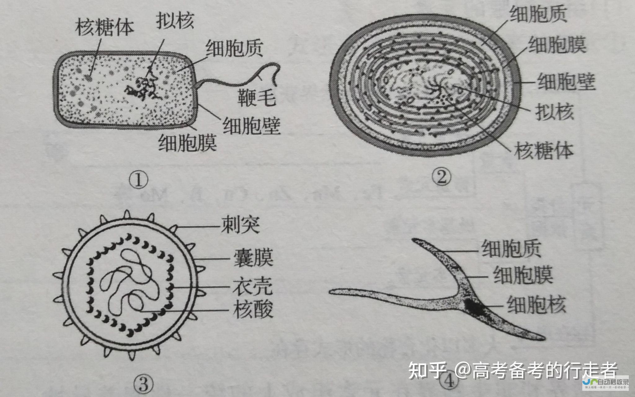 一段生动详述的对话揭晓