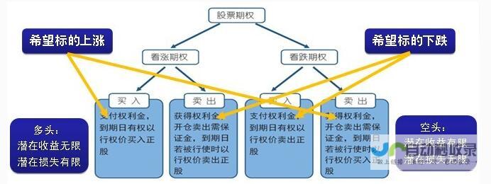 期权市场的利好信号