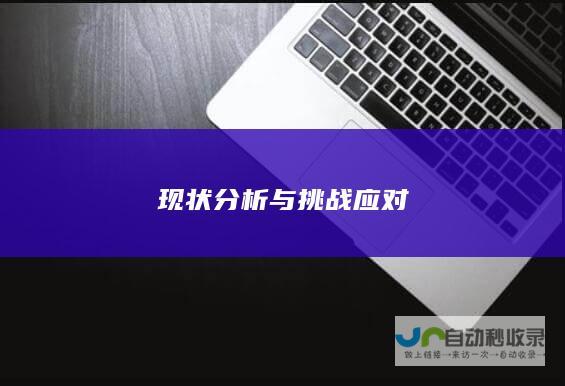 现状分析与挑战应对