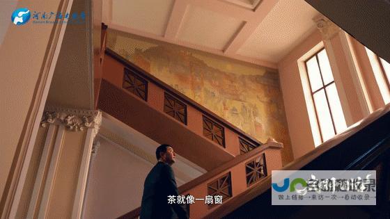 文化深度解析，展现时代风采