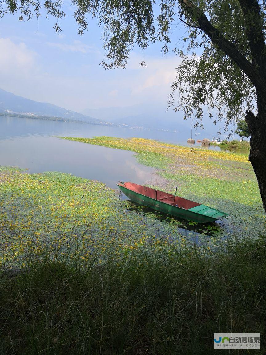 走进梦幻花海，感受醉美自然——探寻花海的奇妙之旅