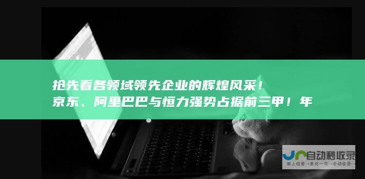 抢先看各领域领先企业的辉煌风采！京东、阿里巴巴与恒力强势占据前三甲！年度民企大比拼揭晓神秘面纱。