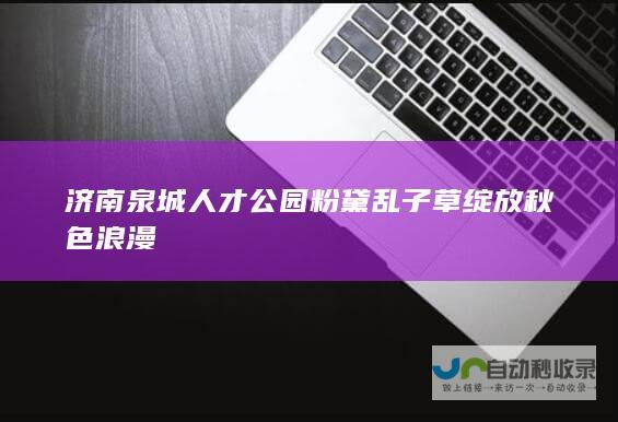 济南泉城人才公园粉黛乱子草绽放秋色浪漫