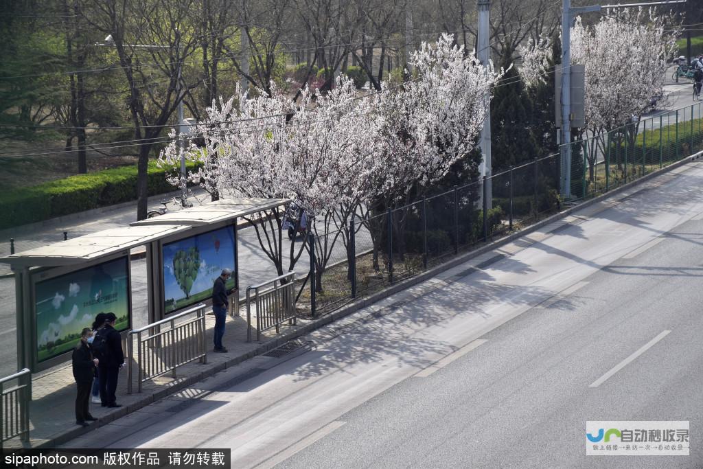 北京花乡启动高质量发展调研行，探索产业转型升级新路径