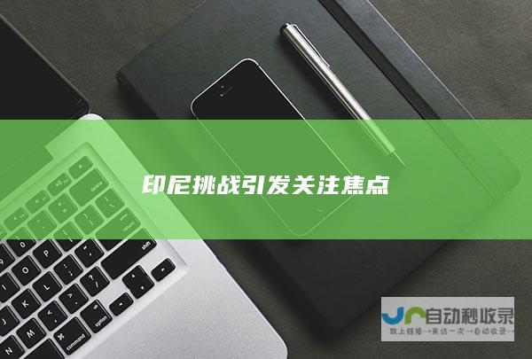 印尼挑战引发关注焦点