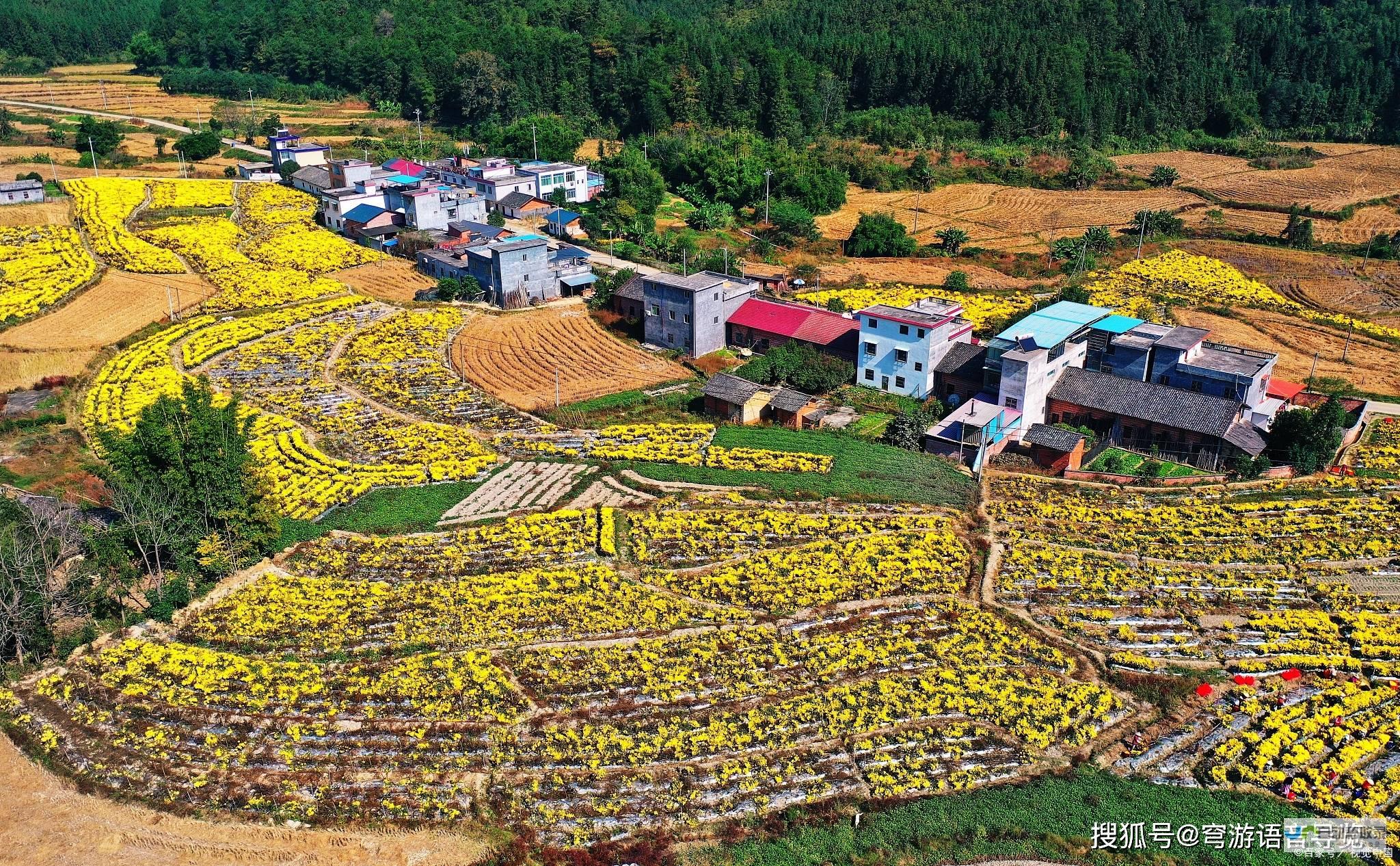 县城旅游热潮涌现引关注