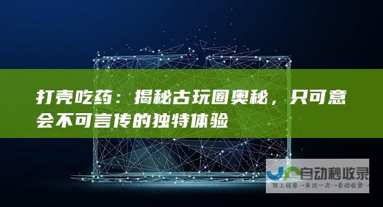 打壳吃药：揭秘古玩圈奥秘，只可意会不可言传的独特体验