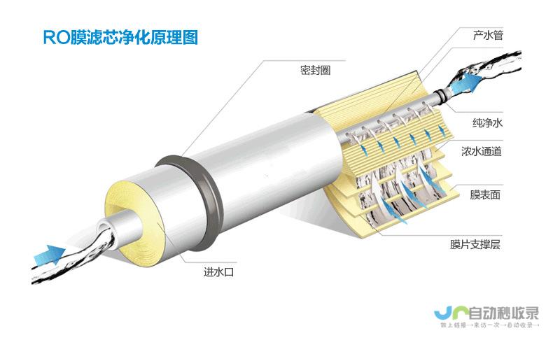 透过时间的滤镜解读爱情的真相