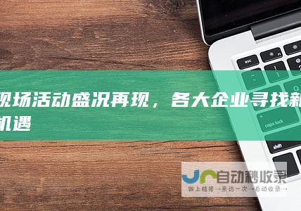 现场活动盛况再现，各大企业寻找新机遇