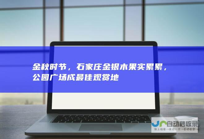 金秋时节，石家庄金银木果实累累，公园广场成最佳观赏地