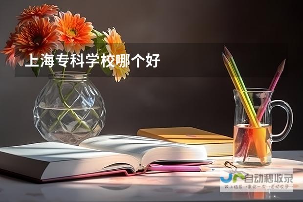 上海大学热门专业深度解析