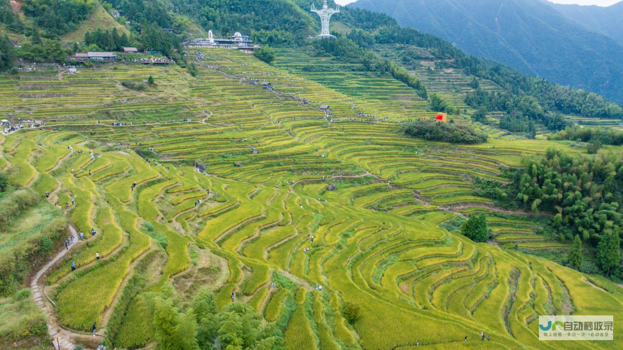 探寻诗意栖居的美好时光