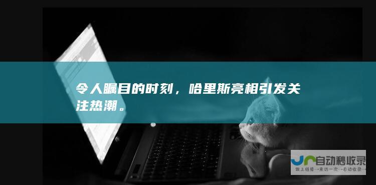 令人瞩目的时刻，哈里斯亮相引发关注热潮。