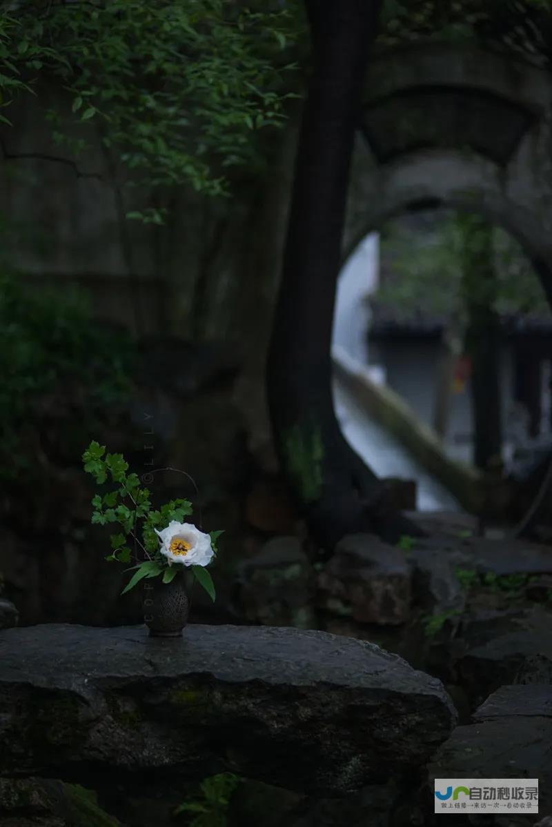 生活的苦楚与无力感，句句戳心