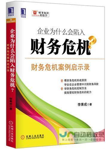 面临财务困境，宝鹰股份如何应对行业挑战？