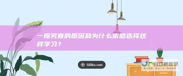 一探究竟的原因和为什么依然选择这样学习？