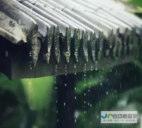 第一篇：雨的序曲——2023年的雨之舞