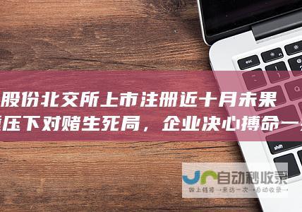 宇星股份北交所上市注册近十月未果，重压下对赌生死局，企业决心搏命一拼！