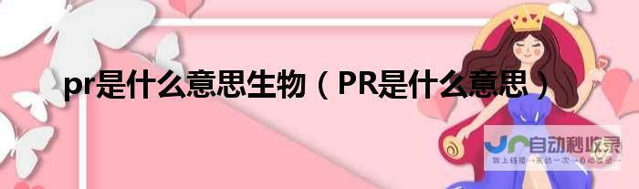 传闻称Perplexity AI搜索公司正在筹集巨额资金，市值预计突破历史纪录