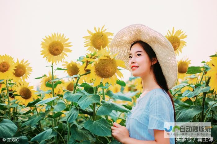 老实人在面对挑战时的挣扎与抉择