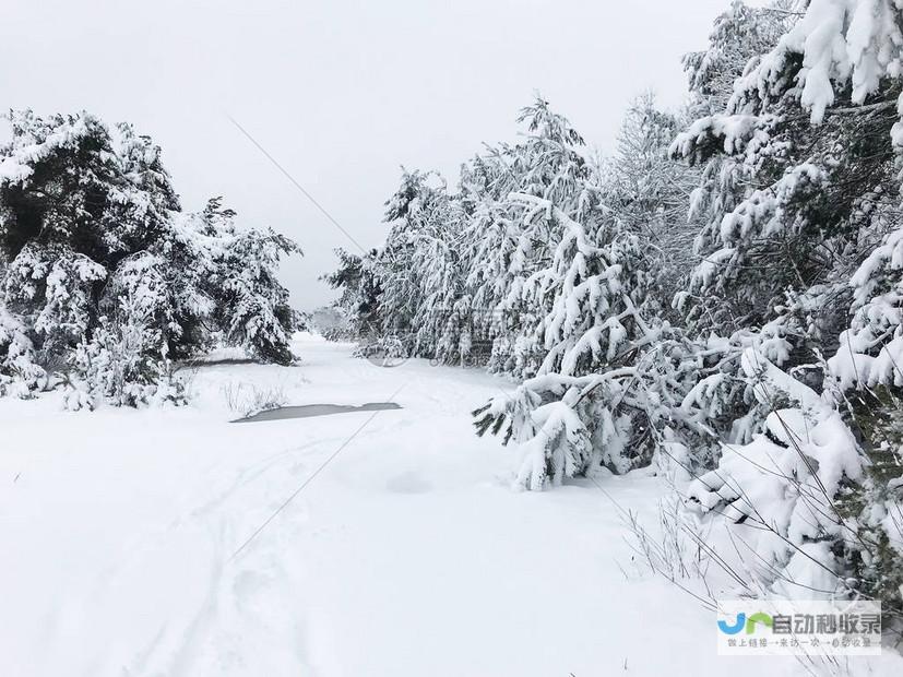 揭示冰雪覆盖面积与变化趋势