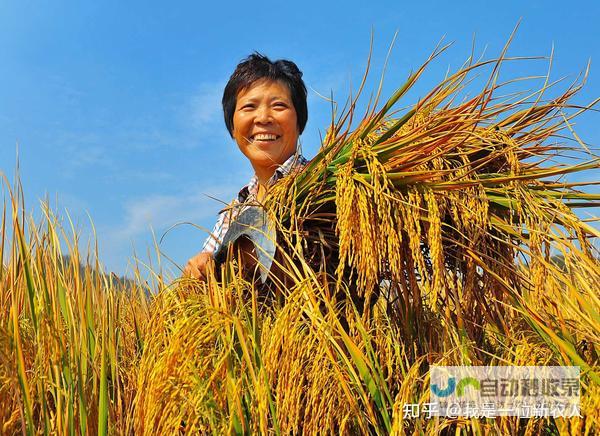 江苏农民笑开颜