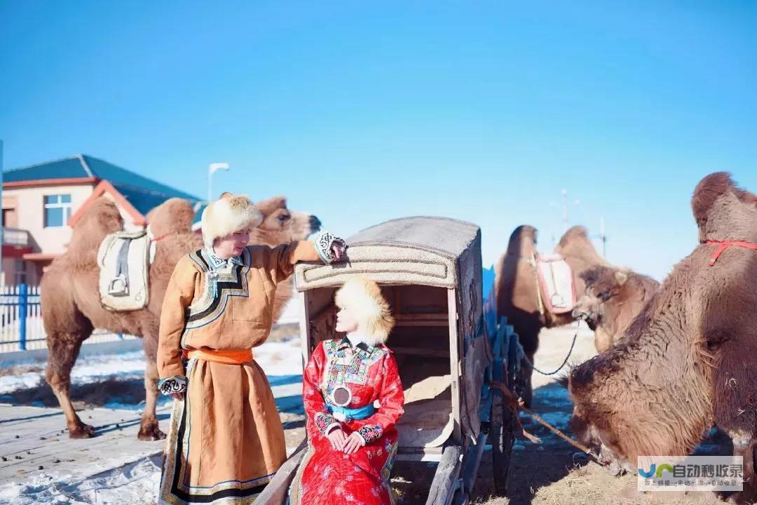 西藏冰雪奇缘：冬日的梦幻之旅