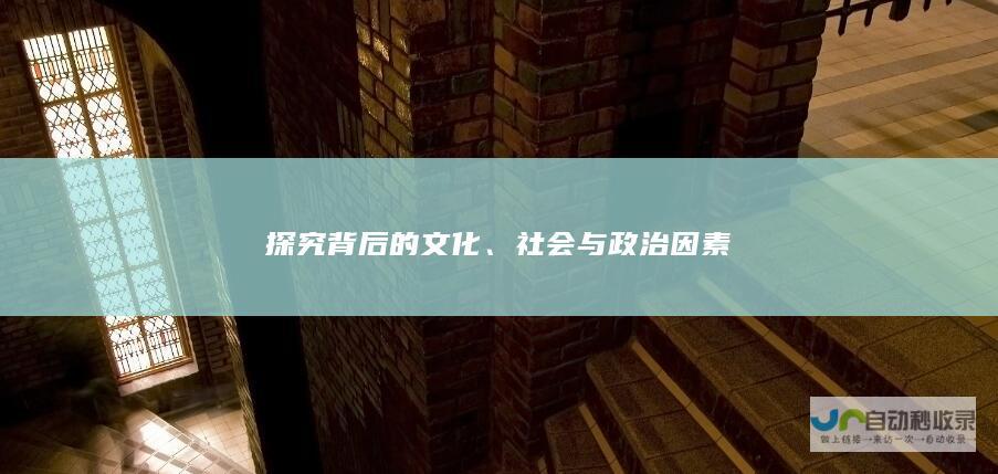 探究背后的文化、社会与政治因素