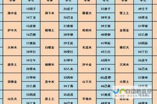 从命理学角度剖析八字合婚的奥秘