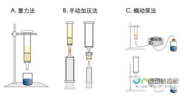 探索亲疏之间的平衡