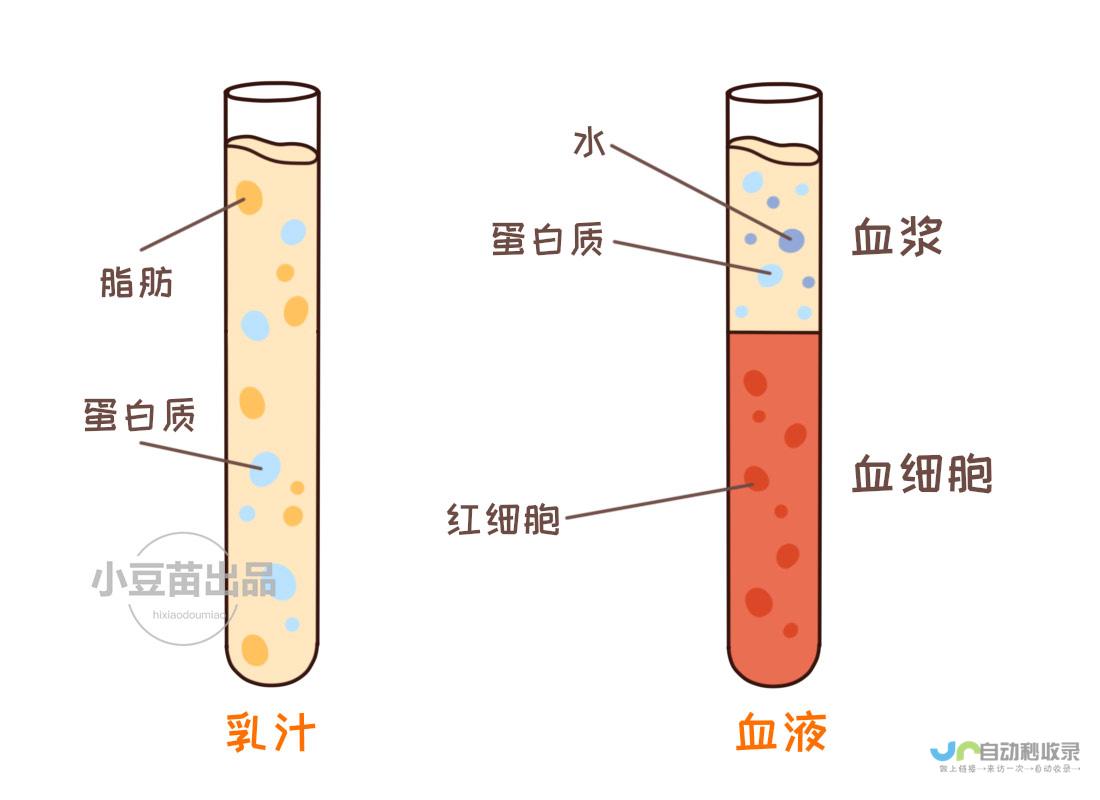 尿常规检查结果分析