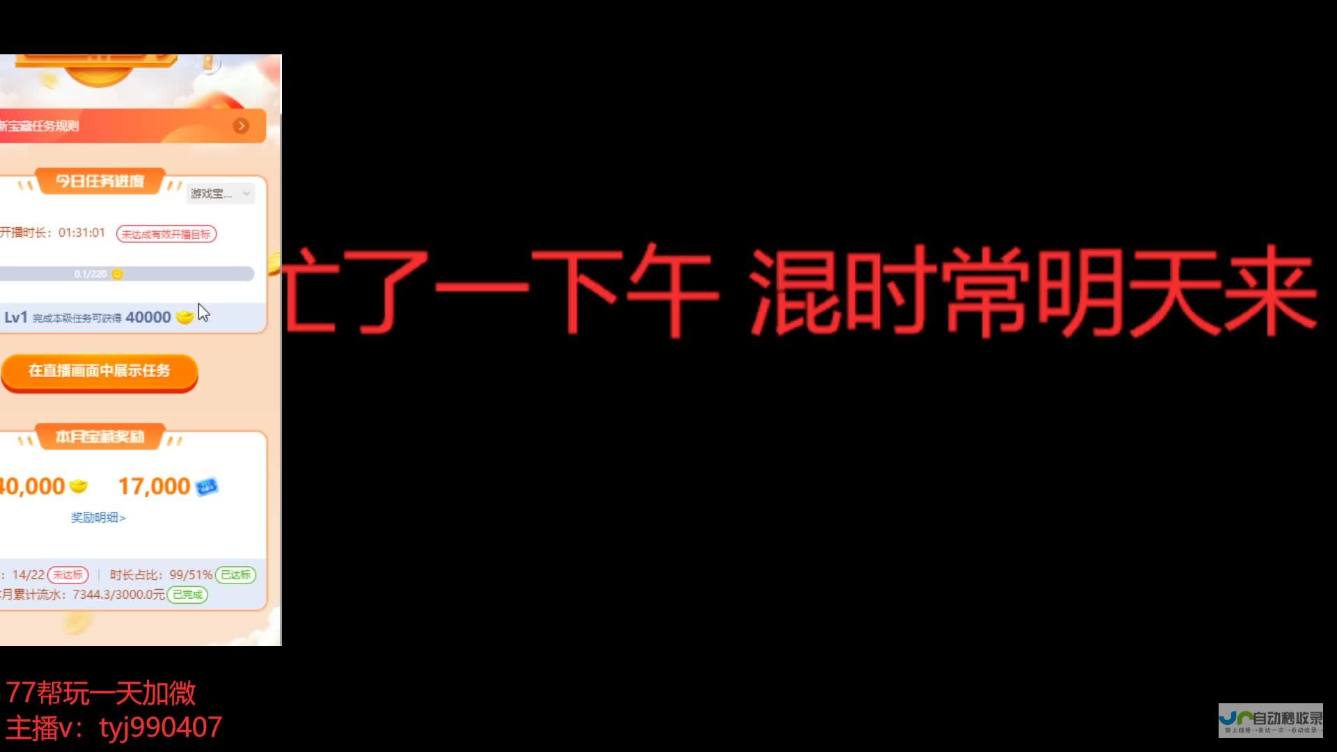 细节解析与深度体验