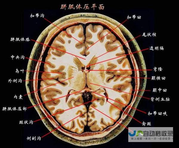 共同前行 彼此信赖