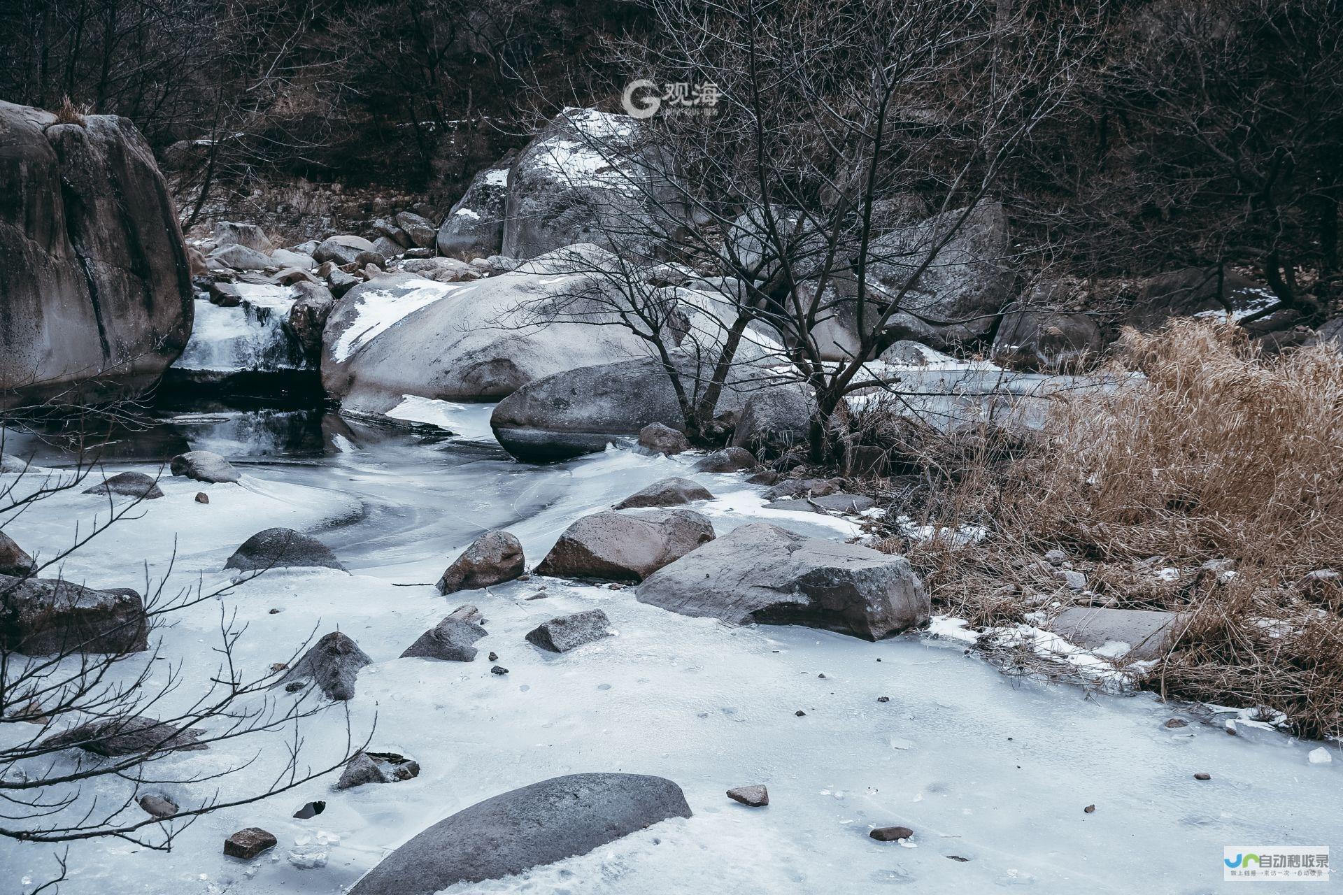 春天的独特魅力