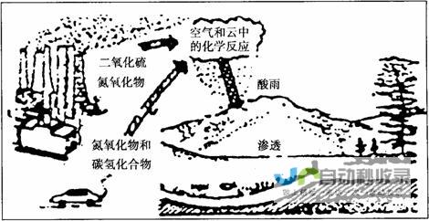 探究酸雨形成的反应机制