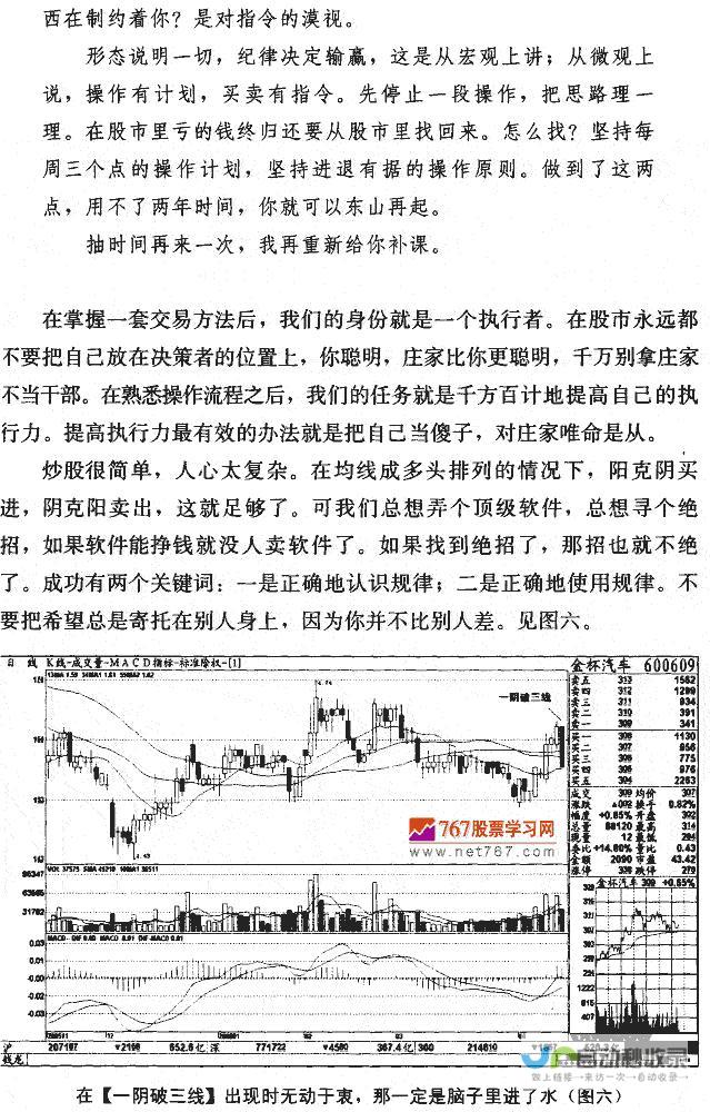 全面解析股票年化收益率的计算方法和步骤