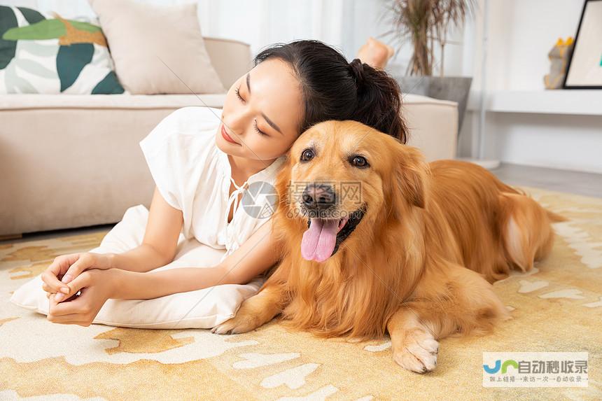 宠物家长必读 如何选择最适合爱宠的食物——奶糕与猫粮大比拼